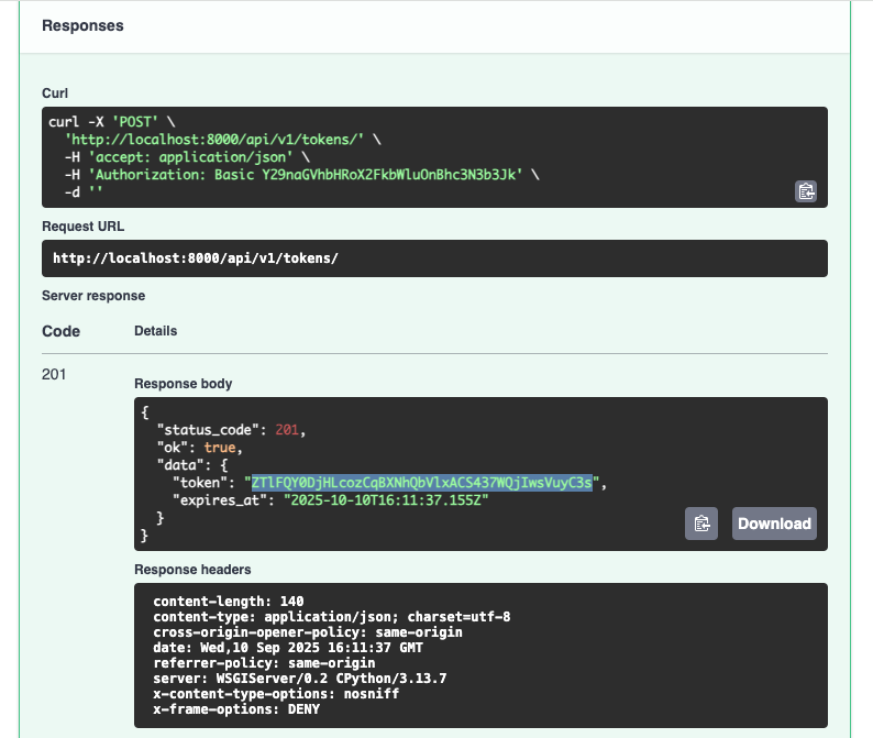 API Playground Token Response